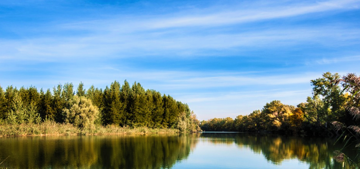 River with trees on the riverbank and blue sky with smooth white clouds