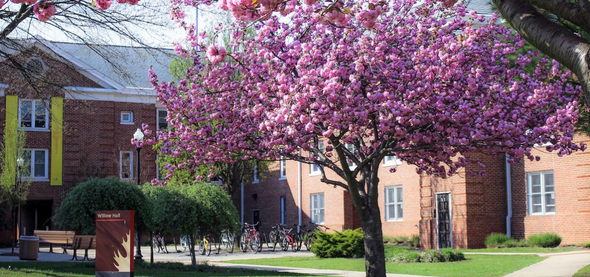 Rowan Universitys Willow Hall during Spring time