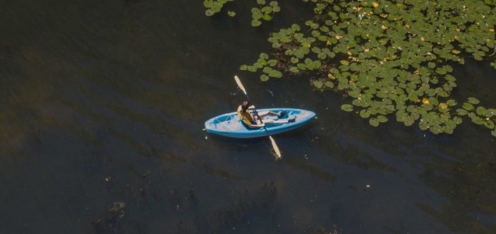 an aerial photo of Jen in a blue kayak surrounded by lilypads in Alcyon lake.