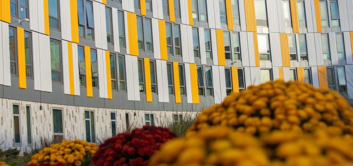 Exterior shot of Holly Pointe Commons with yellow and red mums in the foreground.