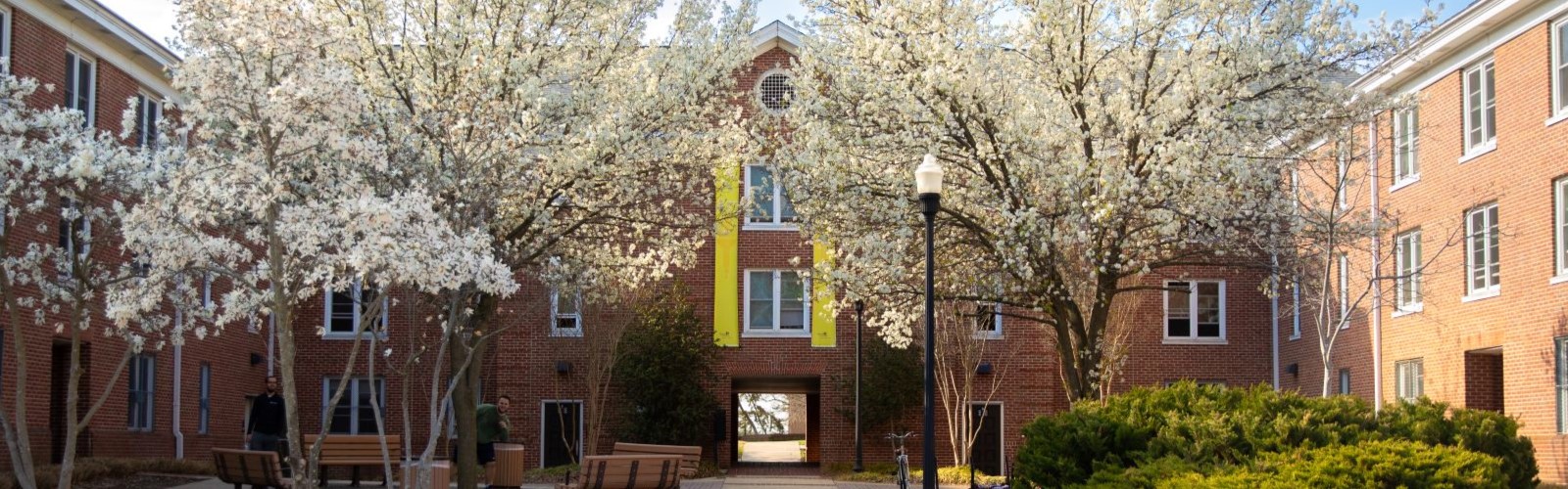 Magnolia Hall during the fall with blooming trees.